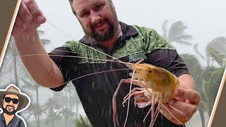 Giant Cyclone Prawns [upl. by Silin]