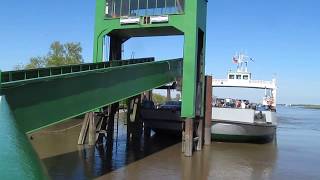 Elbe ferry Wischhafen  Glückstadt [upl. by Ahsinnor35]