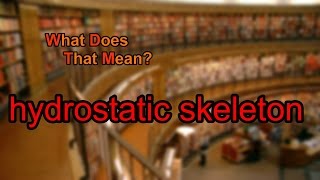 What does hydrostatic skeleton mean [upl. by Elburt508]