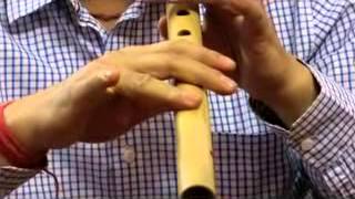 How to grip Bansuri Bamboo flute Beginner Learner [upl. by Davine]