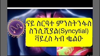 respiratory syncytial virus explained in tigrinya ስርዓተ ምስትንፋስ ዘጥቅዕ ሕማምRSvirus ኣብ ህጻናት ብኸመይ ንከላኸሎ [upl. by Asset]