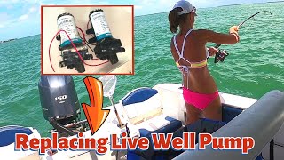 Replacing Live Well  Wash Down Pump on a ROBALO [upl. by Rooke]