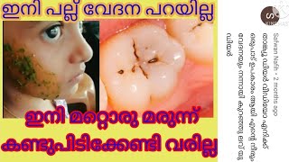 പല്ല് വേദനയും നീരും മാറ്റാം Natural Home Remedies For tooth pain dincy babu [upl. by Buseck]