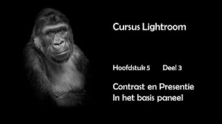 Hfdst 5 Deel 3 Contrast en Presentie in het basispaneel [upl. by Stephens]