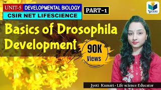 DEVELOPMENTAL BIOLOGY OF DROSOPHILA PART1  CSIR NET LIFESCIENCE  IMPORTANT [upl. by Durwyn]