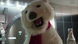 World of CocaCola Polar Bear Moment of Happiness [upl. by Amein]