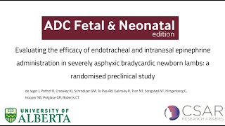 Endotracheal and intranasal epinephrine in severely asphyxic bradycardic newborn lambs [upl. by Sherer]