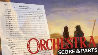 Zelda Gerudo Valley  Orchestral Cover [upl. by Fuhrman798]