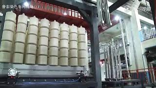 Fully Automatic Dyeing Process for Yarn Dyeing Processing Advancements [upl. by Mount]