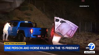 Person horse killed in crash on 15 Freeway in Norco [upl. by Dohsar781]