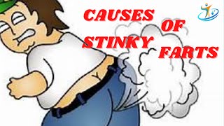 Causes of Stinky Farts [upl. by Claudy]