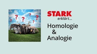 Homologie und Analogie  STARK erklärt [upl. by Yekcin761]