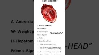 right vs Left sided heart failure [upl. by Arualana]