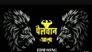 pailwan ala g dj song dj lover pushkar [upl. by Elsi]