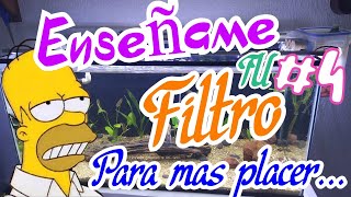 Enseñame Tu filtro 4 Sump Aereo  Coridoras  monjitas  tetras  filtros caseros  lampara casera [upl. by Pip]