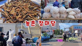 초겨울 농촌 장마당 연변소고기 싸쇼 돌쫑개 아바이고기 한근에 35원 중국 연변 연길 人间烟火中国延边延吉赶集摆摊 Yanbian Yanji [upl. by Towny928]