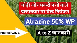 Atrazine 50WP फॉर्मुलेशन में । Best Herbicide। पूरी जानकारी के साथ। [upl. by Hayifas737]