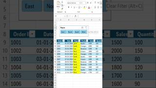 excel filter [upl. by Aernda]