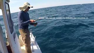 Keep bait on the hook Trigger fish wwwwrapfishingsystemcom [upl. by Banna]