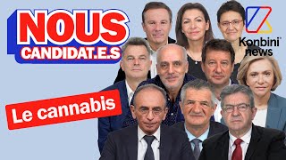 Cannabis et légalisation ou pas  le programme des candidats à lélection présidentielle 2022 [upl. by Ater615]