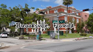 Things to do in Brooksville Florida [upl. by Conias]