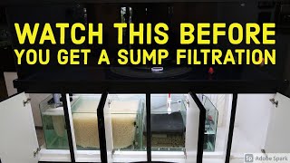 Aquarium SUMP Filtration  Pros amp Cons [upl. by Agnew]