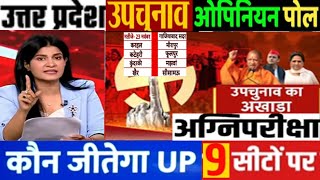 यूपी उपचुनाव चुनाव 9 सीटों का ओपिनियन पोल  जमीन स्तर पर किसका पलड़ा भारी  SP Vs BJP कड़ी टक्कर [upl. by Nera]