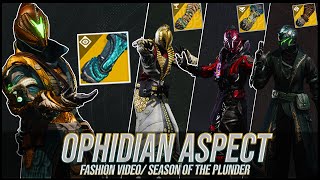 Destiny 2 How to Fashion The Ophidian Aspect  Season of the Plunder [upl. by Kettie]