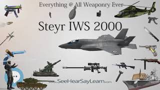 Steyr IWS 2000 Everything WEAPONRY amp MORE💬⚔️🏹📡🤺🌎😜✅ [upl. by Slavin]