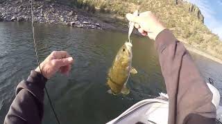 Fishing Prineville Reservoir end of summer 2024 [upl. by Mitran]