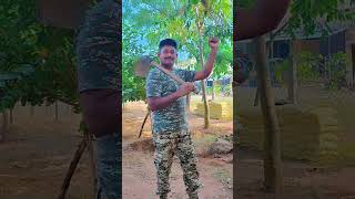 Jai Jawan Jai Kisan  crpf soldier status 🔥 music song kisan crpf army bsf motivation shorts [upl. by Dryden]