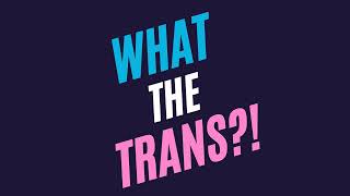 USA EP06  Transatlantic Transphobia [upl. by Ettennig611]