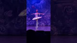 The nutcracker teatro Carcano [upl. by Eesac]