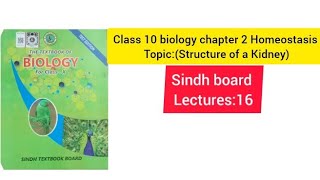 Class 10 biology chapter 2 Homeostasis topic Structure of a Kidney Full Explain [upl. by Seravart43]