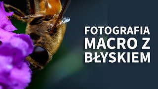 Fotografia macro w pełnym słońcu z lampą błyskową  moje pierwsze kroki [upl. by Wymore]