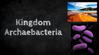 Kingdom Archaebacteria [upl. by North]