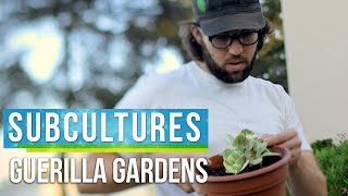 Guerrilla Gardening in Los Angeles  SubCultures [upl. by Draned434]