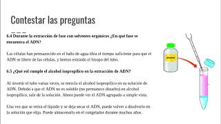 Análisis Práctica de Laboratorio Extracción de ADN [upl. by Aennil542]