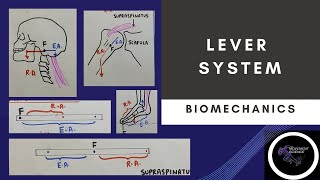 LEVER SYSTEM PART 1 basic concepts of biomechanics Physiotherapy class [upl. by Aerdma150]