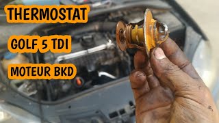 Démontage Thermostat GOLF 5 Moteur BKD [upl. by Burdelle405]