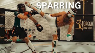 Conor Mcgregor SPARRING Footage [upl. by Halli]