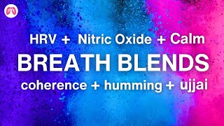 Breath Blends Improve HRV and Increase Nitric Oxide [upl. by Nevur398]