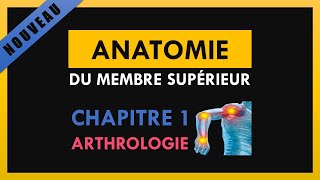 Anatomie Du Membre Supérieur  Chapitre 1  Arthrologie [upl. by Ahtikal785]