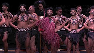 Super 8 Kapa Haka – Winner [upl. by Eerrahs]