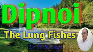 Dipnoi The Lung Fishes [upl. by Eislel]