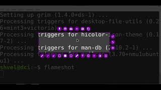 FlameShot in Linux Mint [upl. by Eaves]