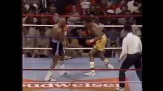 Hagler vs Hearns round 3 [upl. by Alic]