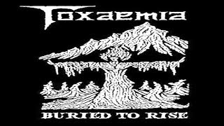 TOXAEMIA  Buried to Rise 19901991 Discography Fulllength AbumCompilation [upl. by Tennos]