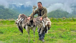 Cooking The Best Unimaginable Recipes In The Mountain Village Of Azerbaijan [upl. by Tomasine]