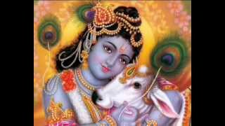 Radhe Radhe Ratan Tulsi Kumar Full Song I Ratan Laagi Radhe Ki [upl. by Panayiotis]